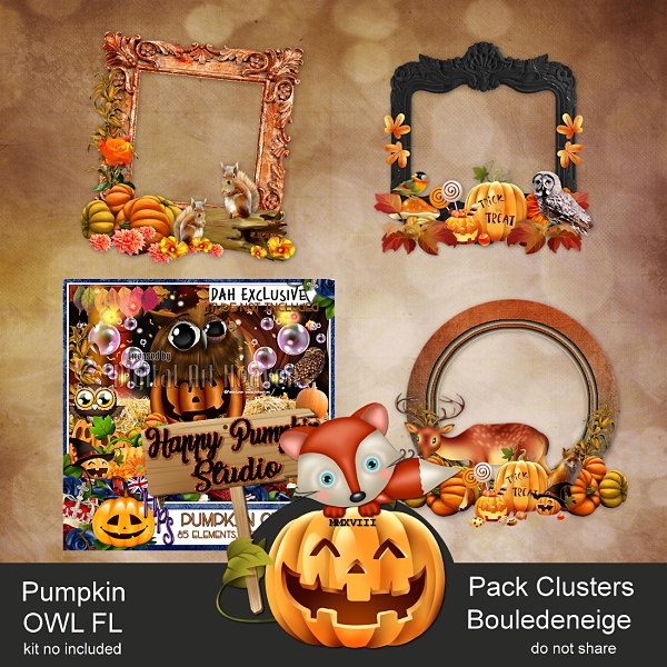 EXCLUSIVE HPS Pumpkin Owl Clusther Frames